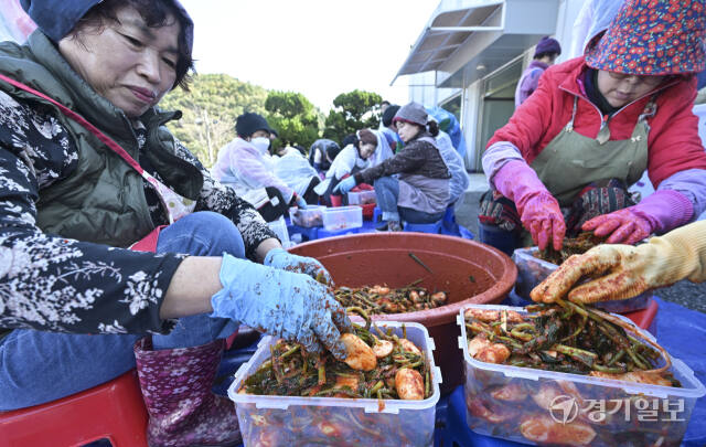 광주시, 추워진 날씨에 김장김치 나눔으로 따뜻한 봉사 [포토뉴스]