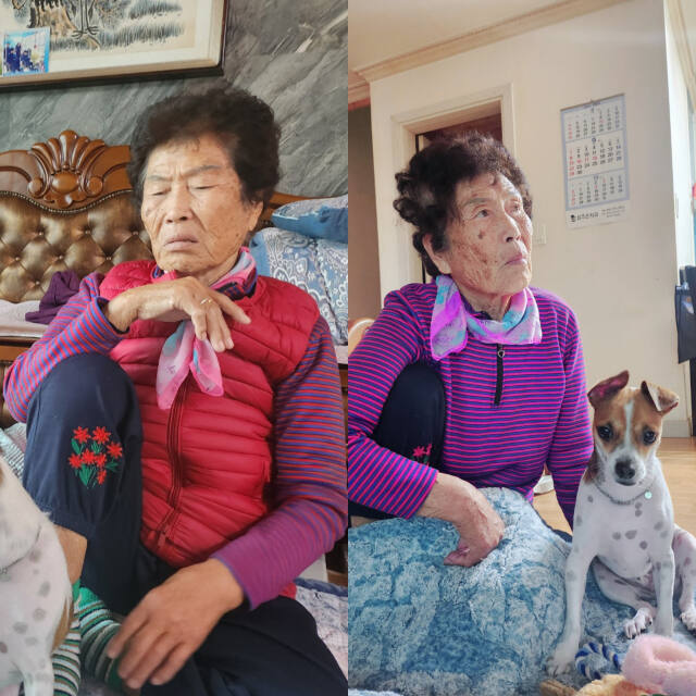 양평읍 봉성리에 사는 홍영화 어르신과 토토의 모습. 황선주기자