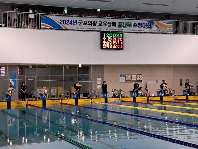 27일 열린 군포의왕교육장배 꿈나무 수영대회에서 참가학생들이 레이스를 위해 입수하고 있다. 군포의왕교육지원청 제공
