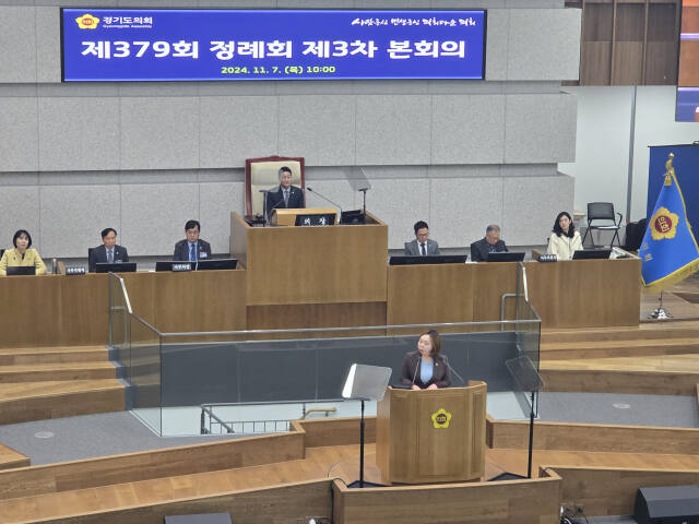 경기도의회 더불어민주당 전자영 수석 대변인이 7일 오전 열린 제379회 정례회 3차 본회의에서 5분 발언을 하고 있다. 김경희기자