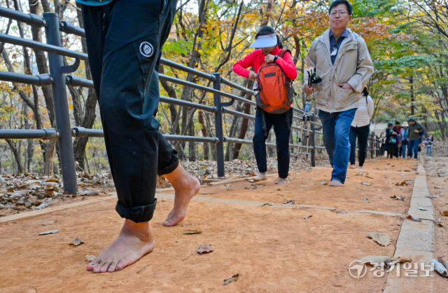13일 오후 군포시 수리산 산림욕장 황톳길에서 시민들이 맨발로 산책을 하고 있다. 경기도는 이날 ‘경기 흙향기 맨발길 1천개 조성’ 선포식을 가졌다. 윤원규기자