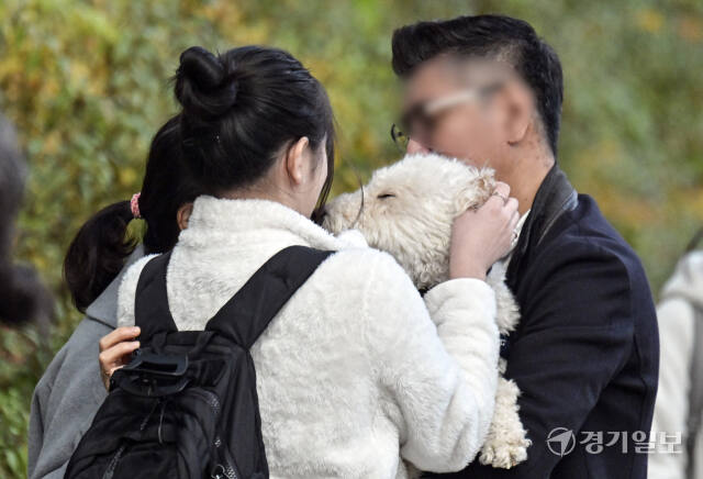 2025학년도 대학으로 가는 수능시험 시작 [포토뉴스]