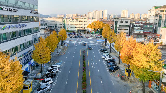여주시목인 은행나무 노란 단풍으로 물든 여주시청 전경. 여주시 제공