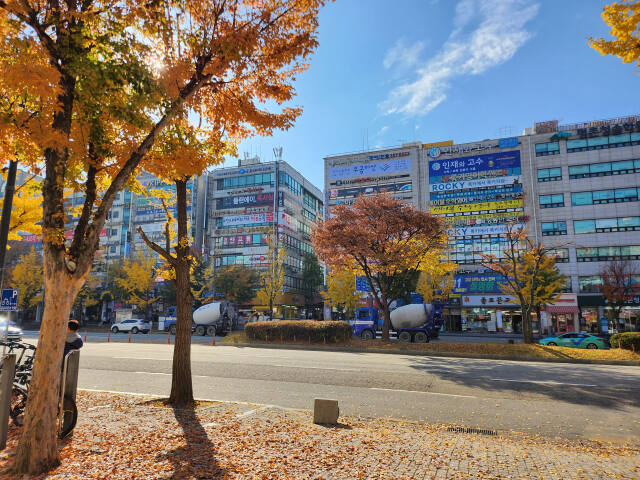 2025학년도 수학능력시험이 끝난 다음날인 15일 오후 안양 평촌학원가에 평소 북적이던 학생들의 모습은 보이지 않는채 썰렁한 모습을 보이고 있다. 박화선기자