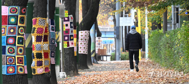 쌀쌀한 날씨를 보인 17일 인천 남동구 만성중학교 일대 가로수에 중학교 학부모들이 만든 형형색색의 손뜨개 옷이 입혀져 있다. 조병석기자