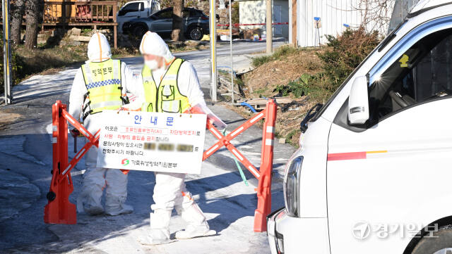 18일 H5형 조류인플루엔자 항원이 검출된 인천 강화군의 한 육용종계 농장 입구에서 방역 가축위생방역지원본부 관계자들이 외부인의 출입을 통제하고 있다. 올해 인천에서 H5형 AI 항원이 검출된 건 이번이 처음이다. 만약, 고병원성 AI로 확인되면 인천에선 1년8개월 만에 다시 발생한 셈이다. 특히 해당 농장에 있던 종계 1만5800마리에 대해 선제적 살처분을 실시하고 있다.조병석기자