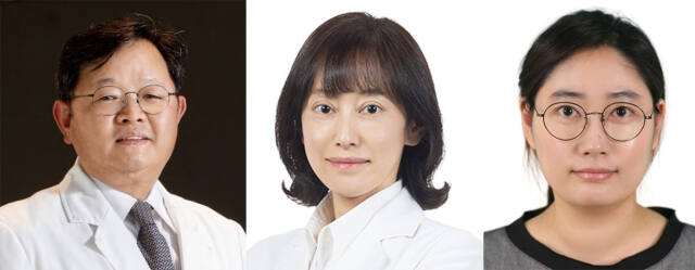 (왼쪽부터)분당서울대병원 신경과 김지수 교수, 가정의학과 이혜진 교수, 의생명연구원 김효정 교수. 분당서울대병원 제공