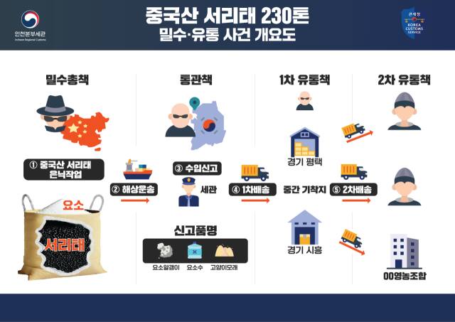 중국산 서리태 밀수입 개요도. 인천세관 제공