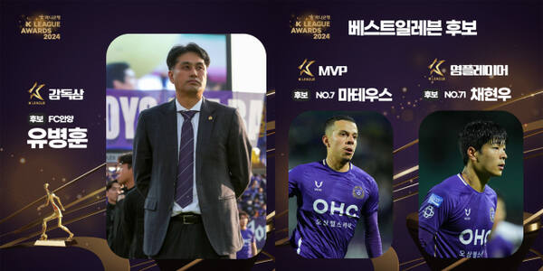K리그1 승격을 이뤄낸 안양인 K리그 대상 후보에 대거 이름을 올렸다.FC안양 제공