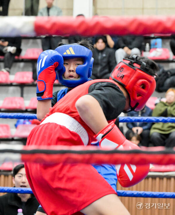 23일 오전 용인특례시 강남대학교 목양관에서 열린 '제15회 용인특례시 복싱협회장배 전국생활체육복싱대회' 에서 참가 선수들이 열띤 경기를 펼치고 있다.