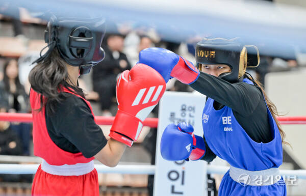 23일 오전 용인특례시 강남대학교 목양관에서 열린 '제15회 용인특례시 복싱협회장배 전국생활체육복싱대회' 에서 참가 선수들이 열띤 경기를 펼치고 있다.