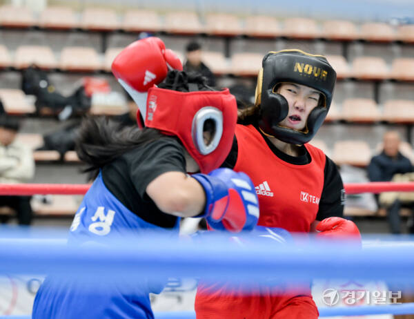 23일 오전 용인특례시 강남대학교 목양관에서 열린 '제15회 용인특례시 복싱협회장배 전국생활체육복싱대회' 에서 참가 선수들이 열띤 경기를 펼치고 있다.