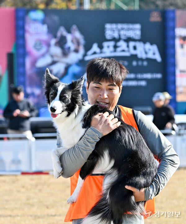 23일 오후 경기도인재개발원 운동장에서 열린 '제1회 경기도지사배 전국 반려견 스포츠대회' 에서 어질리티1 종목에 참가한 반려견과 핸들러들이 열띤 경기를 펼치고 있다. 오는 24일까지 열리는 이번 대회에서는 점핑, 어질리티, 플라이볼, 노비스 등 다양한 부분에서 실력을 펼치는 도내 반려견들의 모습을 볼 수 있다. 윤원규기자