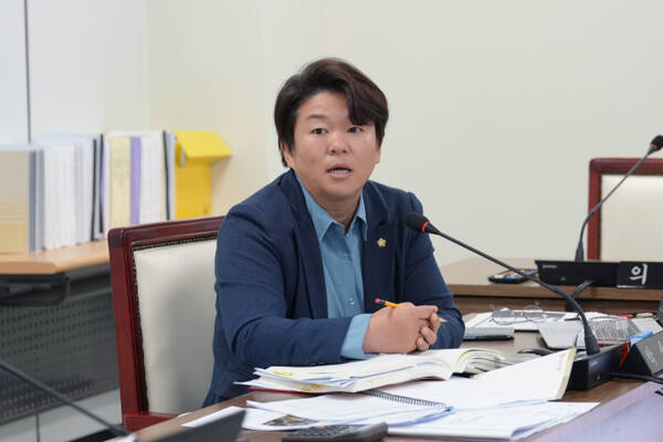 박선미 하남시의원. 하남시의회 제공