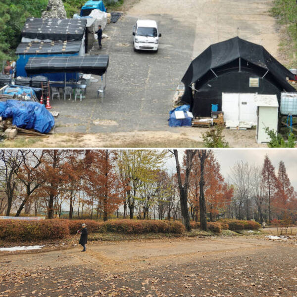 지난 10월9일 인천 부평구 부영공원 모습. 불법으로 설치한 비닐하우스와 컨테이너들이 있다(위쪽). 12월2일 오전 비닐하우스와 컨테이너가 철거된 공간에서 주민들이 산책을 하는 모습(아래쪽). 경기일보 DB, 황남건기자