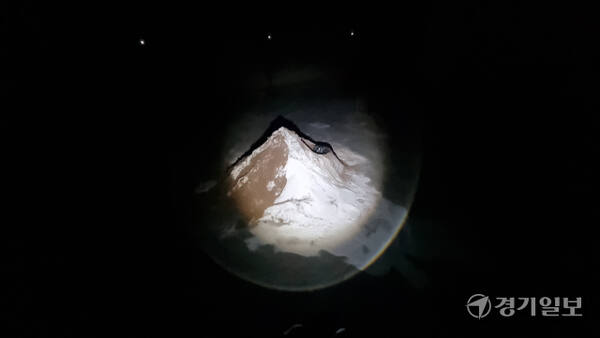 전시장 바닥 곳곳에는 기후위기로 녹아내린 빙하가 표현돼 있다. 조류 혹은 화산폭발과 산불의 자연요소, 발전소와 자동차 연소 등 인위적 원인의 에어로졸은 ‘검은 빙하’가 된다. 이나경기자