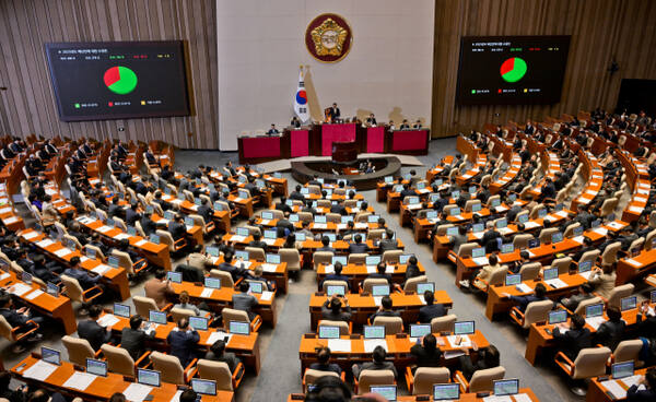 10일 오후 국회 본회의에서 2025년도 예산안에 대한 수정안이 통과되고 있다.