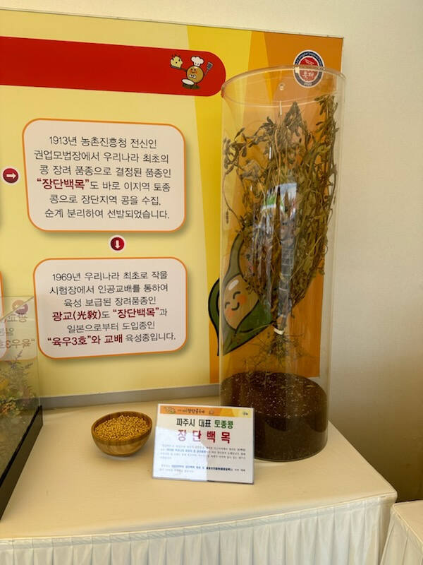 파주장단콩. 파주시 농업기술센터 제공