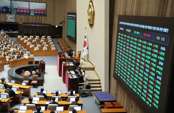 12일 오후 국회 본회의에서 '윤석열 정부의 위헌적 비상계엄 선포를 통한 내란 행위의 진상규명을 위한 특별검사 임명 등에 관한 법률안'이 통과되고 있다. 연합뉴스