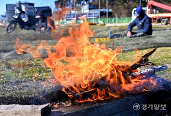 경기지역이 올겨울 들어 가장 추운 날씨를 보인 18일 오전 화성시 궁평항 인근 야외 작업장에서 어민들이 모닥불을 피운 채 작업하고 있다. 혼란한 정국 속에 추위까지 찾아오면서 서민들이 느끼는 체감온도는 더욱 낮아질 것으로 보인다. 김시범기자
