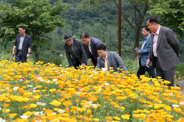 자라섬 꽃페스타 행사에서 서태원 가평군수를 비롯한 관계자들이 현장을 둘러보고 있다. 가평군 제공