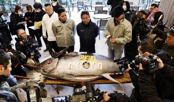 5일 일본 도쿄 도요스시장에서 열린 올해 첫 참치 경매에서 최고가를 기록한 참치가 놓여 있다. 연합뉴스