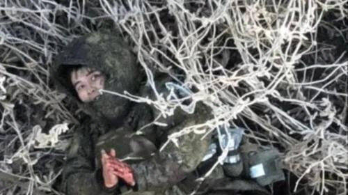 러시아 쿠르스크에서 우크라이나군의 공격을 받는 북한군 추정 병사. 우크라이나군이 공개한 영상물 캡처, 연합뉴스