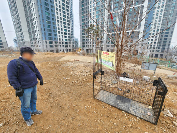 21일 오전 인천 부평구 부평동 한 주민이 아파트 단지 뒤편에 설치된 포획틀을 보고 있다. 황남건기자