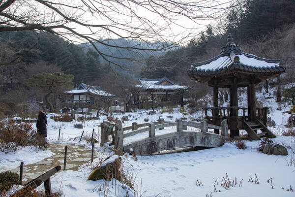 가평 아침고요수목원. 경기관광공사 제공