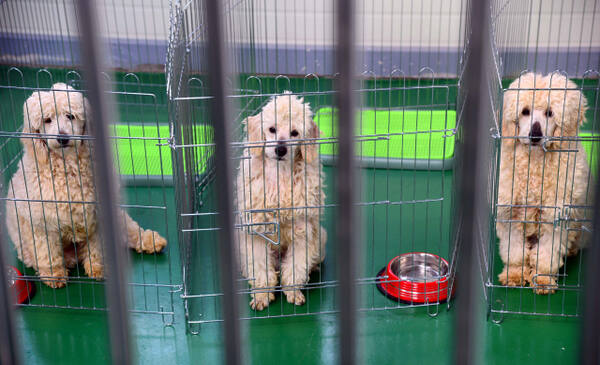 기사와 직접적인 연관은 없는 자료 사진. 경기일보DB