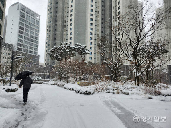 [가] [포토뉴스] 설 하루 전 흰눈 펑펑