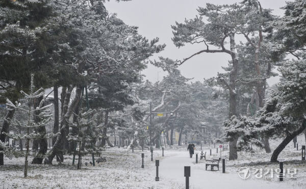 12일 오전 눈이 내린 수원특례시 노송지대에서 한 시민이 우산을 쓰고 발길을 재촉하고 있다. 기상청은 오후에는 눈이 비로 바뀌며 늦은 오후 중부지방 일부 지역에서는 구름 사이로 정월대보름 보름달을 볼 수 있을 것으로 예보했다. 윤원규기자