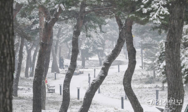 12일 오전 눈이 내린 수원특례시 노송지대에서 한 시민이 우산을 쓰고 발길을 재촉하고 있다. 기상청은 오후에는 눈이 비로 바뀌며 늦은 오후 중부지방 일부 지역에서는 구름 사이로 정월대보름 보름달을 볼 수 있을 것으로 예보했다. 윤원규기자