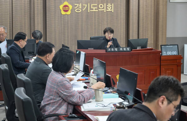 14일 오후 경기도의회 경제노동위원회 회의실에서 고은정 위원장이 발언하고 있다. 이날 회의에서는 경기도 전통시장 및 골목상권, 소상공인 지원에 대한 조례를 심의하고 도내 경제실 및 경기신용보증재단,경기도일자리재단 등 공공기관에 대한 업무보고를 받았다. 윤원규기자
