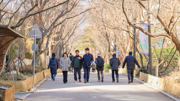 과천 시민들이 교동길을 산책길로 이용하고 있다. 과천시 제공