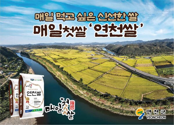 연천군 ‘매일첫쌀 연천쌀’ 판매량 증가세 홍보 포스터. 연천군 제공