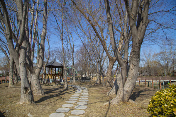 평택 바람새마을 소풍정원. 경기관광공사 제공