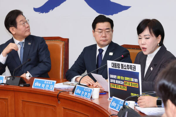 더불어민주당 전현희 의원. 연합뉴스
