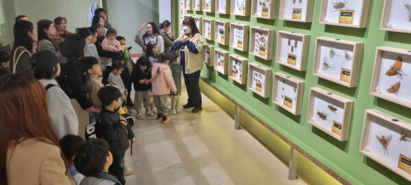 지난 15일 여주곤충박물관에서 열린 지역 내 다문화가족 초청 무료 체험 행사를 찾은 참석자 가족들이 박물관을 둘러보고 있다. 유진동기자