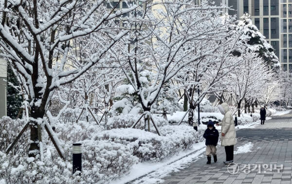 경기지역에 때아닌 폭설이 내린 18일 오전 양주시 한 아파트단지 나무에 눈이 쌓여있다. 이종현기자