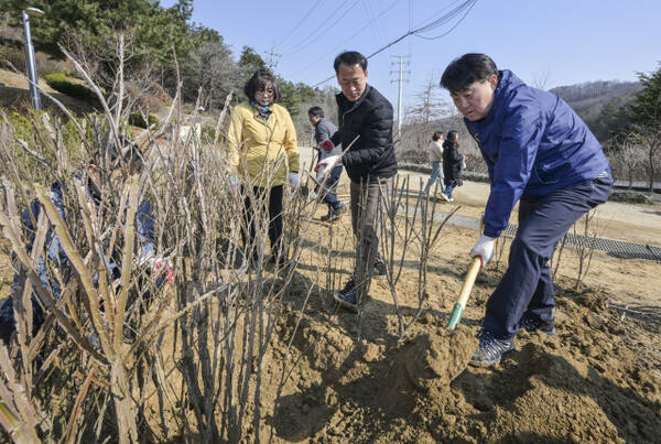 식목일 앞두고 나무 심어서 우리 동네 가꿔요 [포토뉴스]