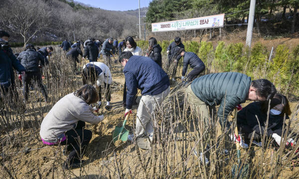 식목일 앞두고 나무 심어서 우리 동네 가꿔요 [포토뉴스]