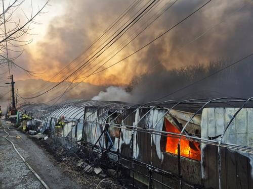 과천시 과천동 일명 ‘꿀벌마을’ 화재현장. 경기도소방재난본부 제공