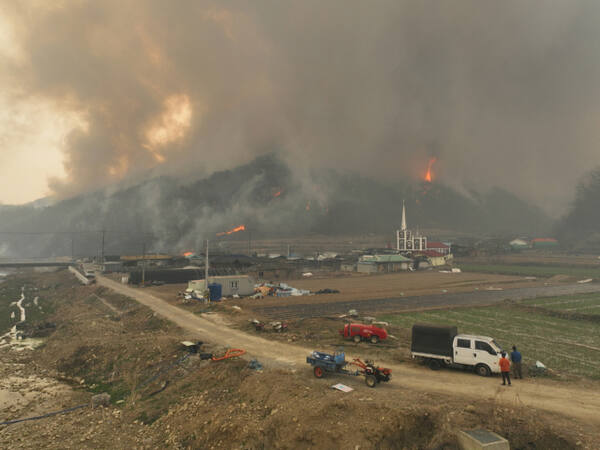 경북 의성 산불이 강풍으로 확산하면서 25일 낮 안평면 하령리와 구하령 마을에 대피령이 내려졌다. 의성군은 주민과 등산객에게 실내체육관으로 대피할 것을 긴급재난문자로 안내했다. 불길이 안평면 사무소 앞까지 번지면서 산불 진화 지휘 본부도 임시청사 앞으로 옮겨졌다. 현재 경남 산청 산불의 진화율이 88%에 달해 일부 헬기가 의성 산불 진화에 추가 투입될 예정이다. 하지만 낮 12시 기준 의성과 안동 산불의 합계 진화율은 60%이며, 오후 강풍 예보로 인해 진화 작업이 어려울 것으로 보인다.조주현기자