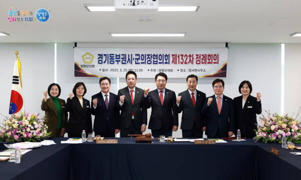 지난 25일 양평군 양서면사무소 대회의실에서 열린 ‘경기동부권시·군의장협의회 제132차 정례회의’에서 참석자들이 기념촬영을 하고 있다. 양평군의회 제공