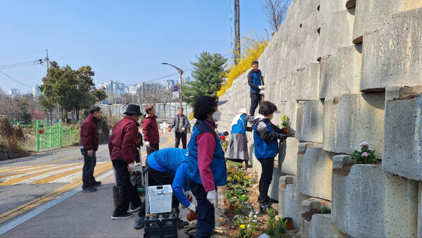과천 문원동 걷고 싶은 꽃 길 조성 눈길