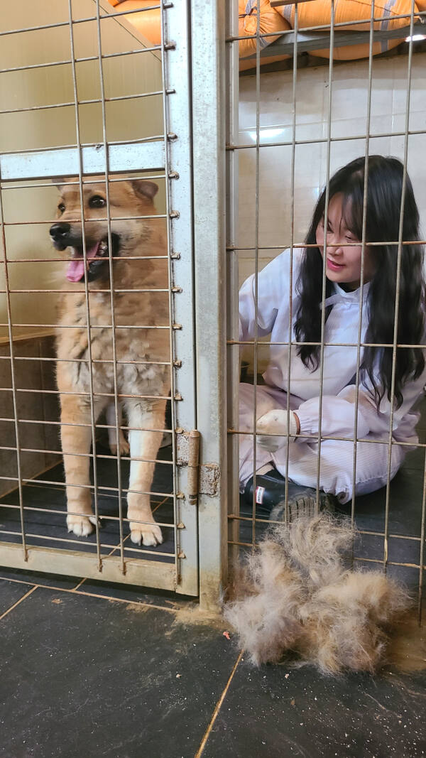 봉사활동을 진행하고 있는 곽은아 대표. 본인 제공
