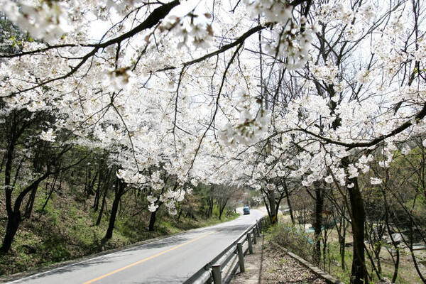 경기일보DB