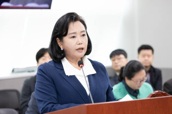 정윤경 경기도의회 부의장. 경기도의회 제공.