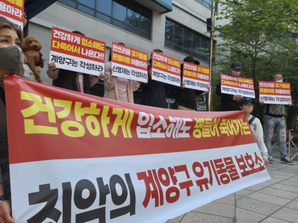 28일 계양구청 앞에서 인천 동물보호단체가 유기 동물들의 관리·감독 개선을 촉구하는 집회를 열고있다. 박귀빈기자